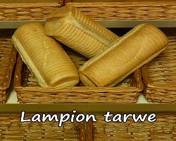 Lampion Tarwe
